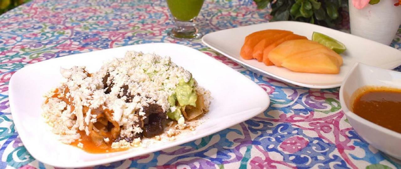 Hotel Anturium Oaxaca Dış mekan fotoğraf